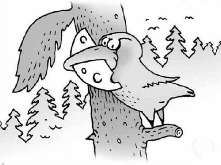 Mắt 10/10 mới thấy con sói ẩn giấu ở đâu