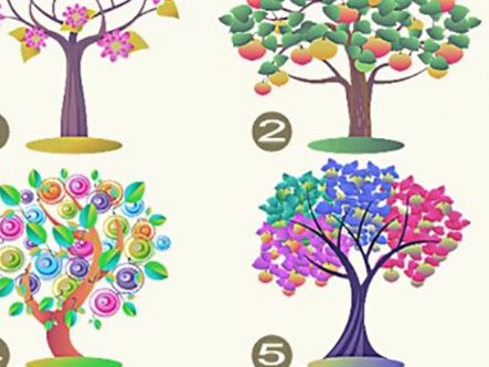 Quiz: Bạn hào phóng, trí tuệ hay là người chăm chỉ và hiệu quả