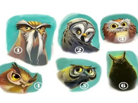 Quiz: Cuộc sống đang gửi bạn lời khuyên gì?