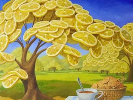 Quiz: Bạn sở hữu trực giác nhạy bén hay là người quan sát tốt