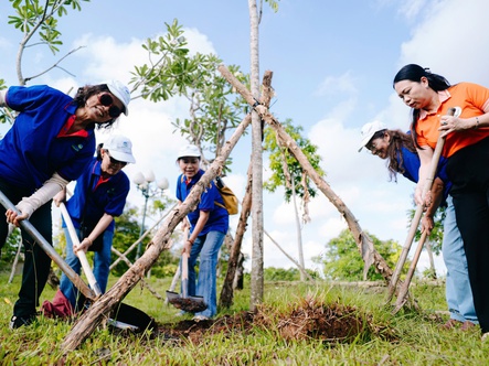 Kiều bào từ TP.HCM trồng cây, nhớ ơn Bác Hồ