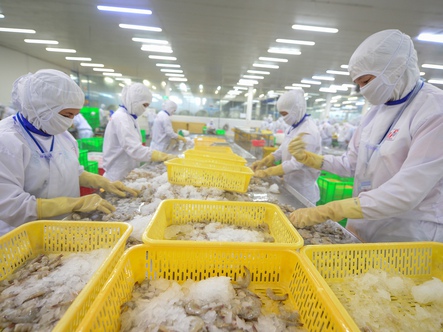 Từ tôm đến gỗ, nhiều doanh nghiệp Việt tăng tốc giao hàng sang Mỹ