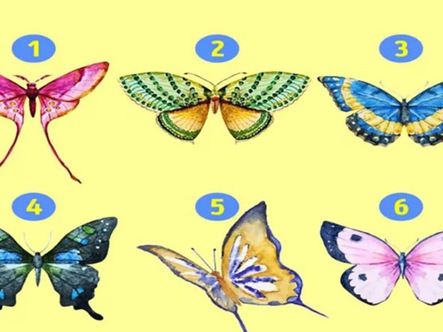 Quiz: Bạn là người lý trí, chín chắn hay sôi nổi, nhiệt huyết