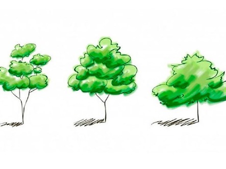 Quiz: Bạn giàu lòng vị tha hay là người chân thành