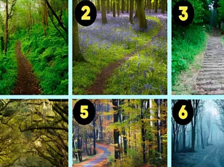 Quiz: Bạn nhân hậu hay là người mạnh mẽ, không ngại rủi ro