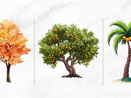 Quiz: Bạn có tài năng bẩm sinh gì?