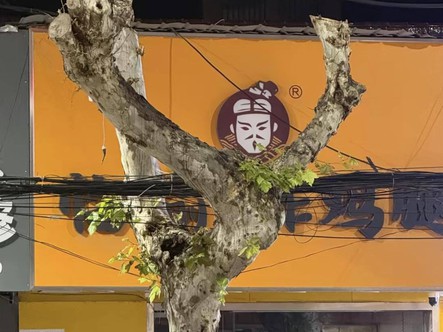 Ảnh vui 8-1: 'Oh wow! Nó ba-lê mà nó cũng yoga làm sao?!'