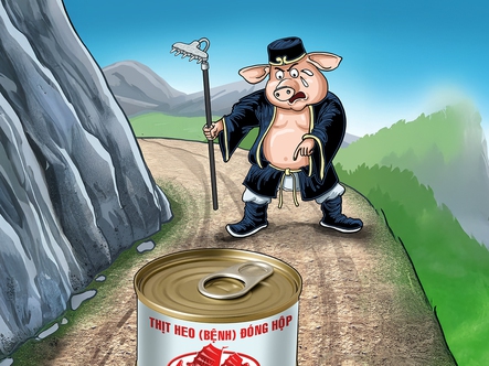 Heo bệnh đóng hộp khiến Trư Bát Giới nổi đóa