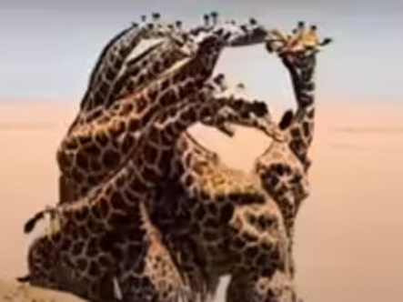 Quiz: Bạn thuộc nhóm nhìn xa trông rộng hay soi kỹ từng chi tiết?