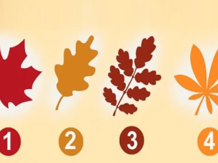 Quiz: Bạn là người thế nào trong tình yêu?