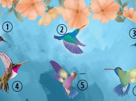 Quiz: Bạn cực kỳ quyết đoán hay là người sống kín đáo?