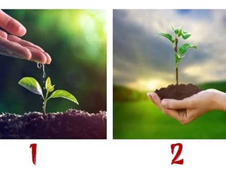 Quiz: Điều ước của bạn sắp trở thành hiện thực?