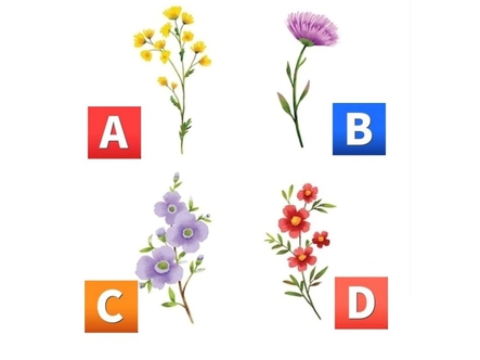 Quiz: 10 năm tới, bạn sẽ đạt được thành quả gì?