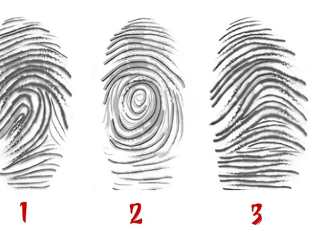 Quiz: Hoa tay ngón cái tiết lộ gì về con người bạn?