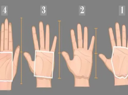 Quiz: Hình dạng lòng bàn tay tiết lộ nhiều bí mật về tính cách bạn