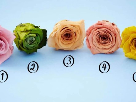 Quiz: Bạn đối diện với áp lực như thế nào?