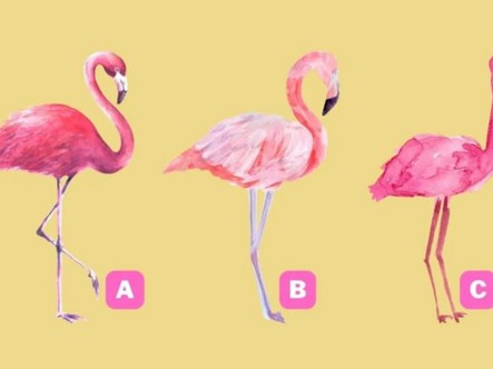 Quiz: Bạn khiêm tốn hay tự tin, quyết đoán?