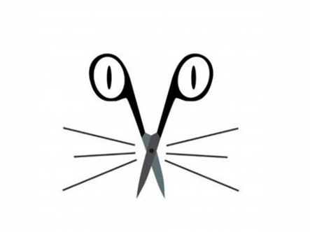 Quiz: Bạn đang trải qua khoảng thời gian hạnh phúc trong tình yêu?