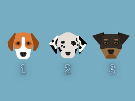 Quiz: Bạn luôn giữ thái độ ôn hòa?