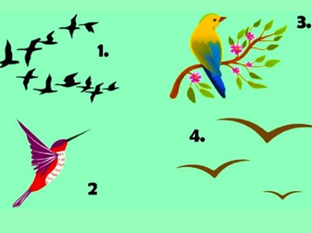 Quiz: Bạn khiêm tốn hay là người tự cao?