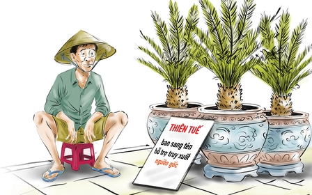 Shop cây kiểng hỗ trợ truy xuất nguồn gốc