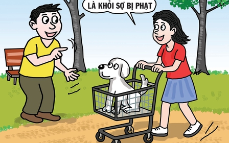 Cách đưa chó đi dạo đỡ 'đau ví' nhất