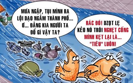 Đi 'du lịch' sau cơn mưa lớn, lũ cá phát hiện thói quen xấu