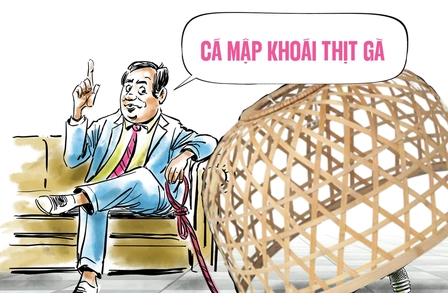 Cá mập khoái thịt gà