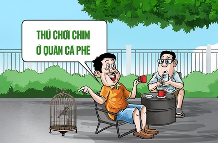 Mang loài chim này ra quán cà phê không cần trình giấy tờ