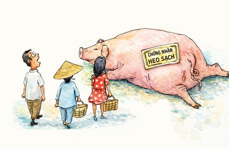 300 tấn heo bẩn vào trường học: Tay có sạch mới chứng nhận được heo sạch
