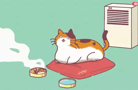 Những lợi ích khi nuôi mèo