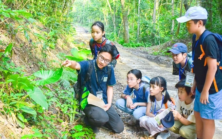 Làm thế nào cho con tuổi thơ hạnh phúc? - Kỳ 4: 'Thả' con vào rừng