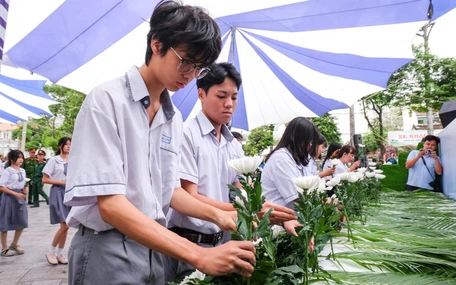 TP.HCM có gần 1.000 người chết do tai nạn giao thông trong 11 tháng