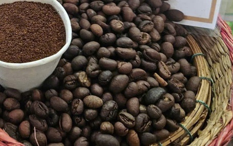 Giá cà phê bất ngờ tăng nhưng nông dân vẫn lo, vì sao?