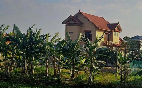 1.500m² đất cho gia đình nguyên bí thư phường thuê với giá chỉ 500.000 đồng/năm