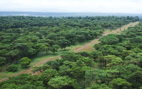 Dự án sân golf Đak Đoa được tỉnh Gia Lai mời nhà đầu tư quan tâm trở lại