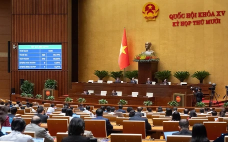 Quốc hội đồng ý tổ chức Đội tuần tra đặc biệt trong tình trạng khẩn cấp