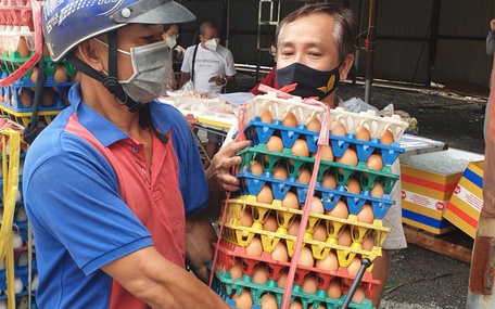 Xôn xao thông tin sản xuất trứng gà giả ở Việt Nam, hiệp hội gia cầm lên tiếng