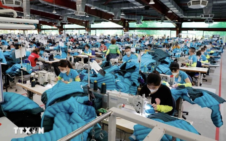 AmCham thúc giục Mỹ giảm thuế quan cho Việt Nam