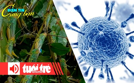 Điểm tin cùng bạn 8h: 'Đại dịch châu chấu’ tấn công hoa màu; Đột phá mới trong điều trị HIV