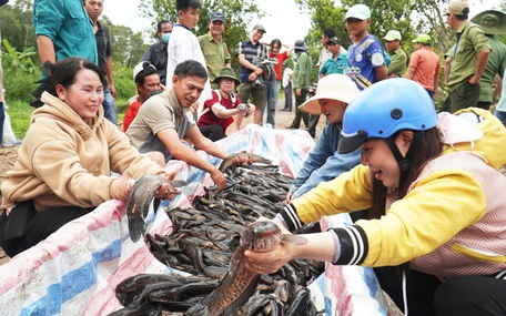 Đánh bắt thủy sản không đủ kích thước, thả về tự nhiên được không?