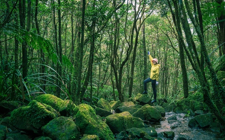 Pa Thiên - Voi Mẹp: Vượt dốc dựng đứng, ngủ giữa ngàn sao tìm về nơi đá núi vọng lời sử thi