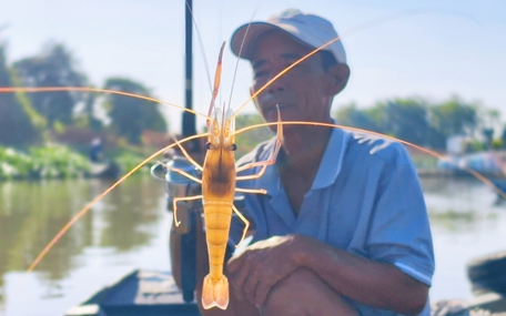 Nhộn nhịp cần thủ khai xuân trên sông Hậu, tỉnh An Giang