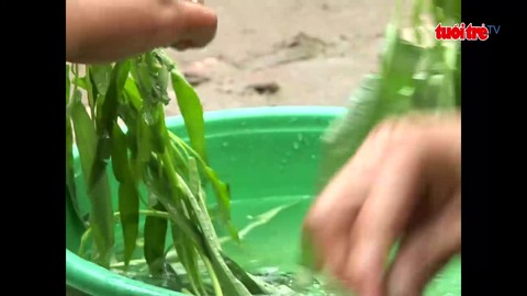 Nhớ lắm bữa cơm quê