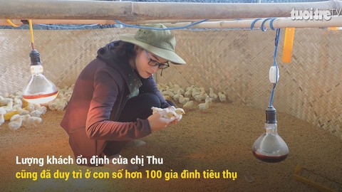 Kỳ thú chuyện cho gà nghe nhạc