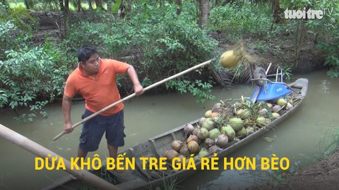 Dừa khô Bến Tre giá rẻ như bèo