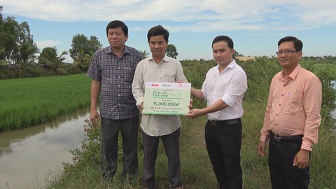 Cho con tôm ôm cây lúa thu hàng trăm triệu một năm