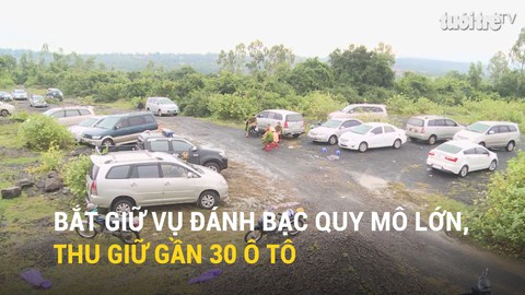 Phú Yên bắt vụ lớn nhất từ trước đến nay, tạm giữ gần 30 ôtô