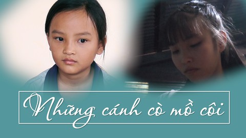 Những cánh cò mồ côi