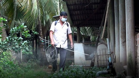 Khẩn cấp mua 55.000 liều vắc xin bệnh lở mồm long móng cho heo